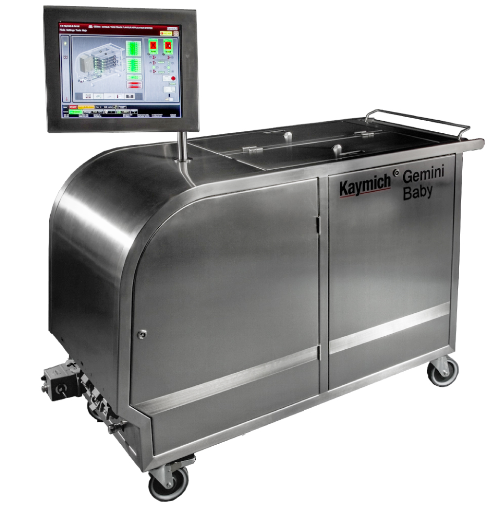 Gemini Baby Flavour Application System